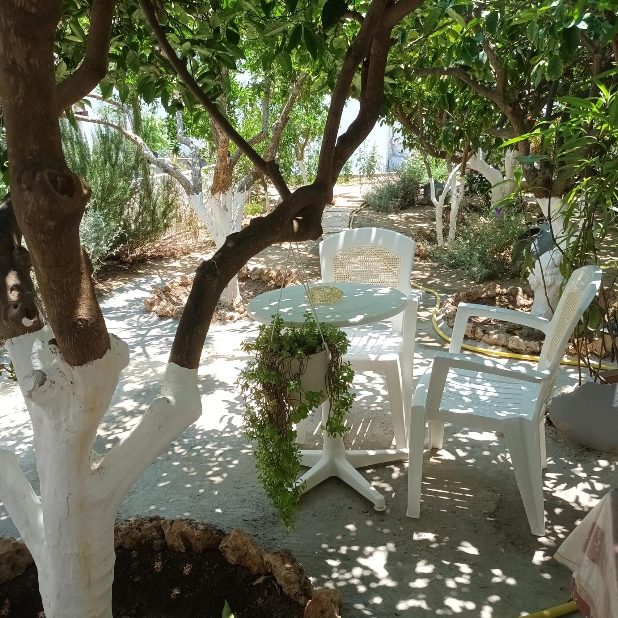 Magnolia Senses Daire Kini Dış mekan fotoğraf