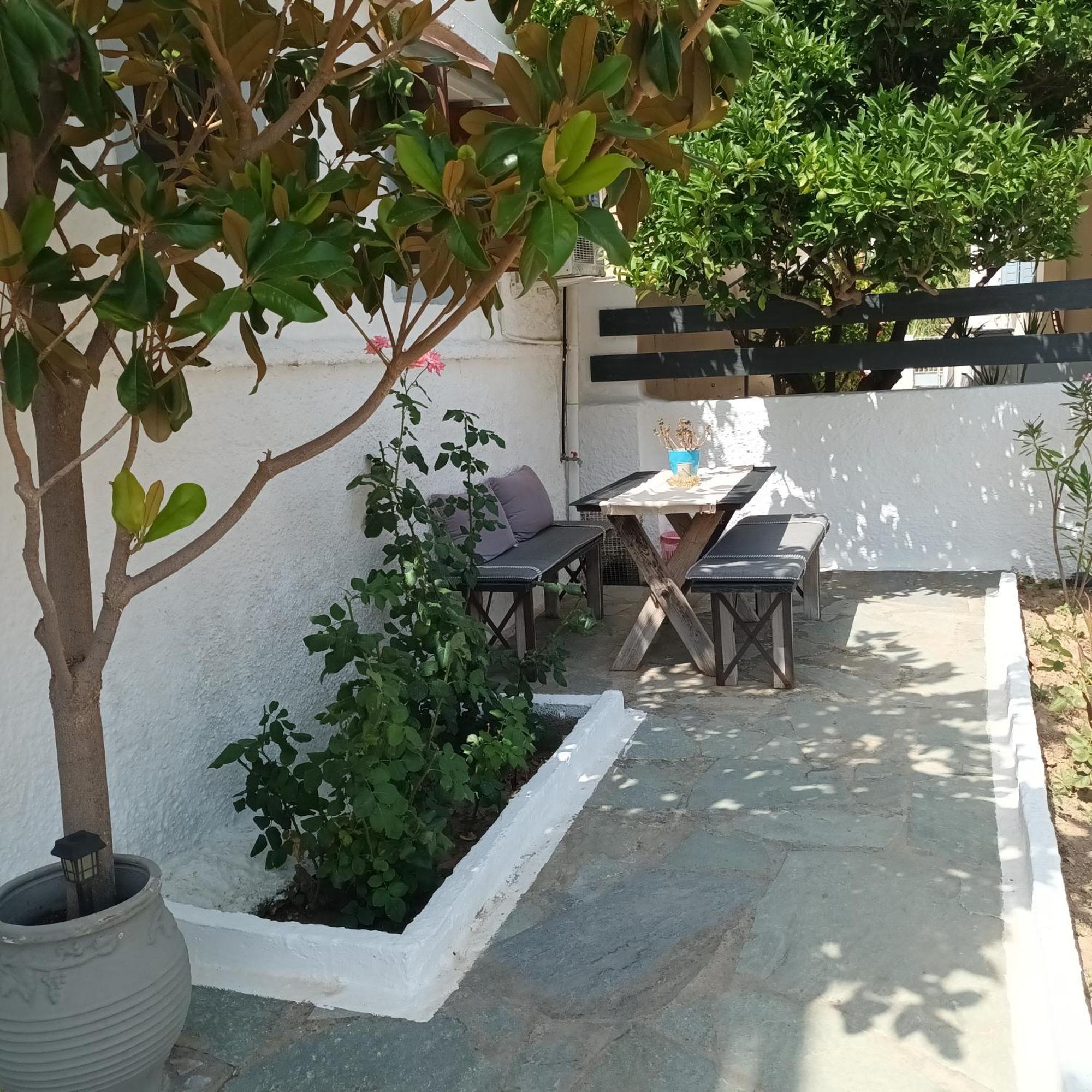 Magnolia Senses Daire Kini Oda fotoğraf
